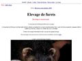 Détails : Elevage de furet de compagnie - la furetiere.com